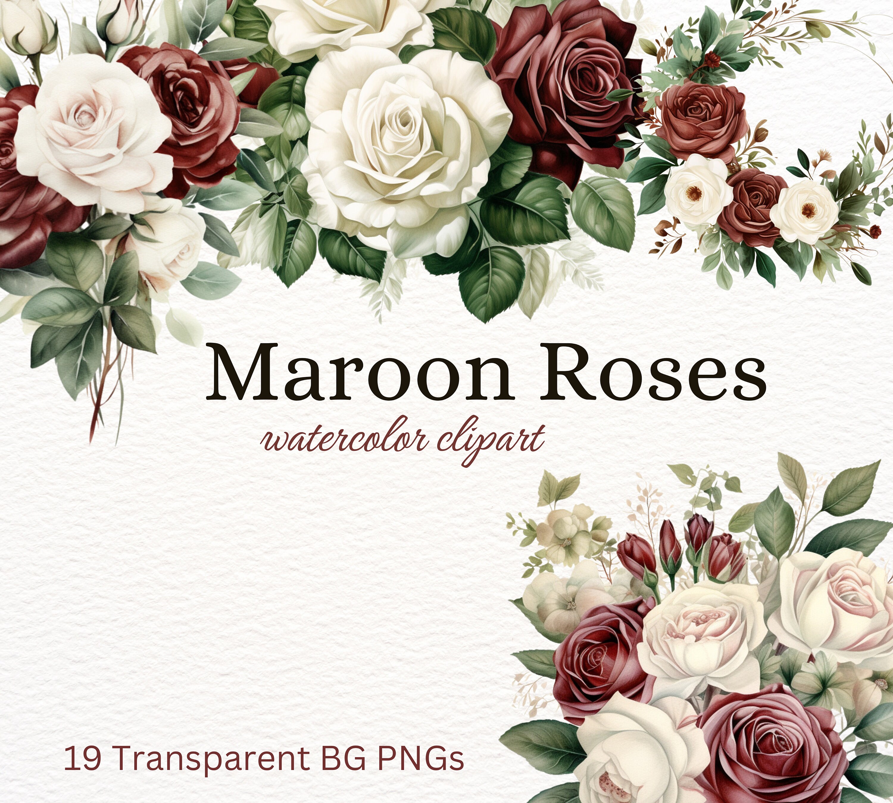 Dramatic Maroon Roses Watercolor Clipart: Deep Red Rose PNG, Luxurious ...