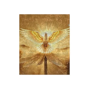 Golden Phoenix Crushed Samt Decke | Schimmernder Mythischer Vogel Überwurf