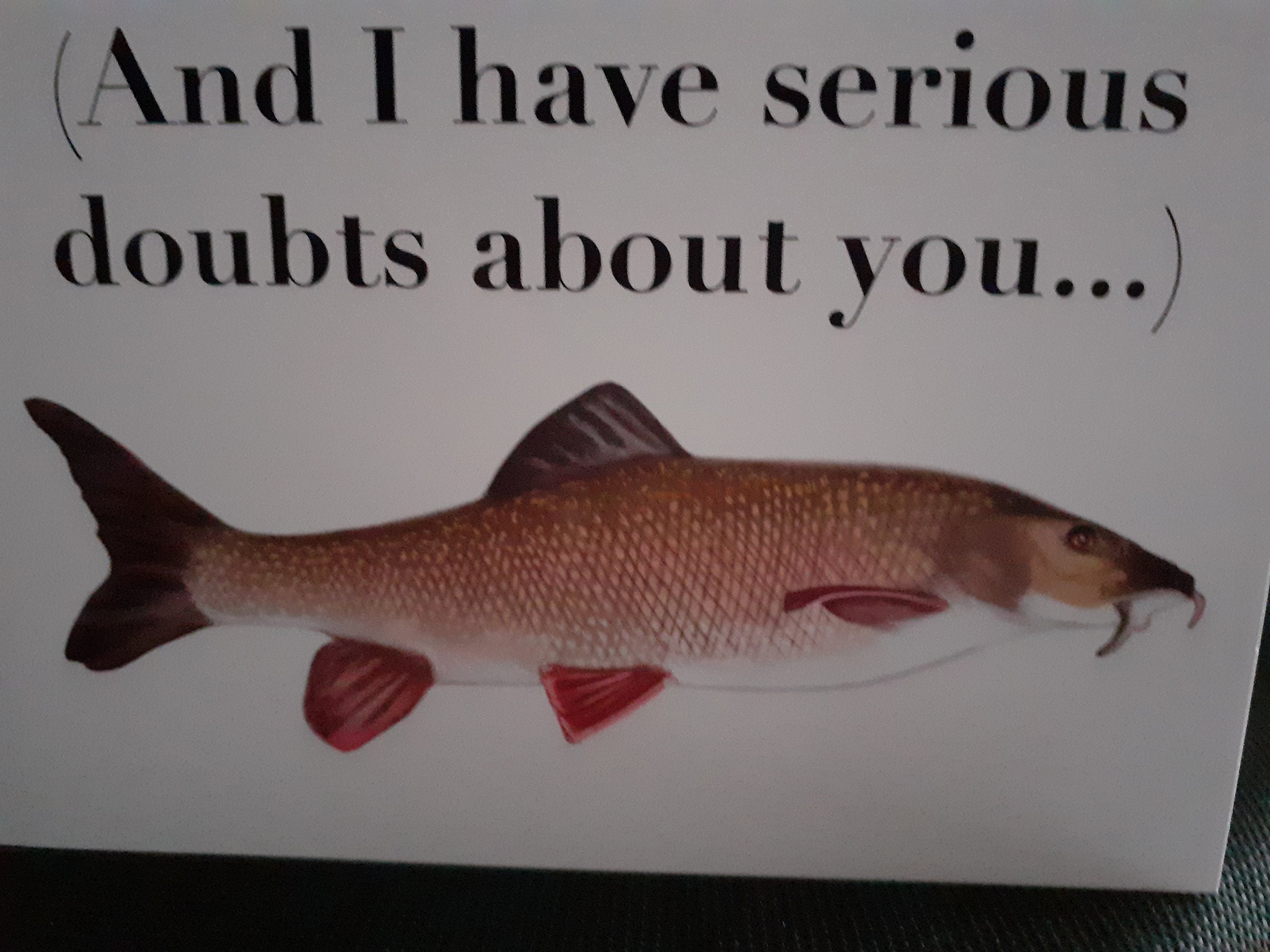 Fun Funny Fishing Birthday Card All Fishermen Are Liars Except - Etsy UK