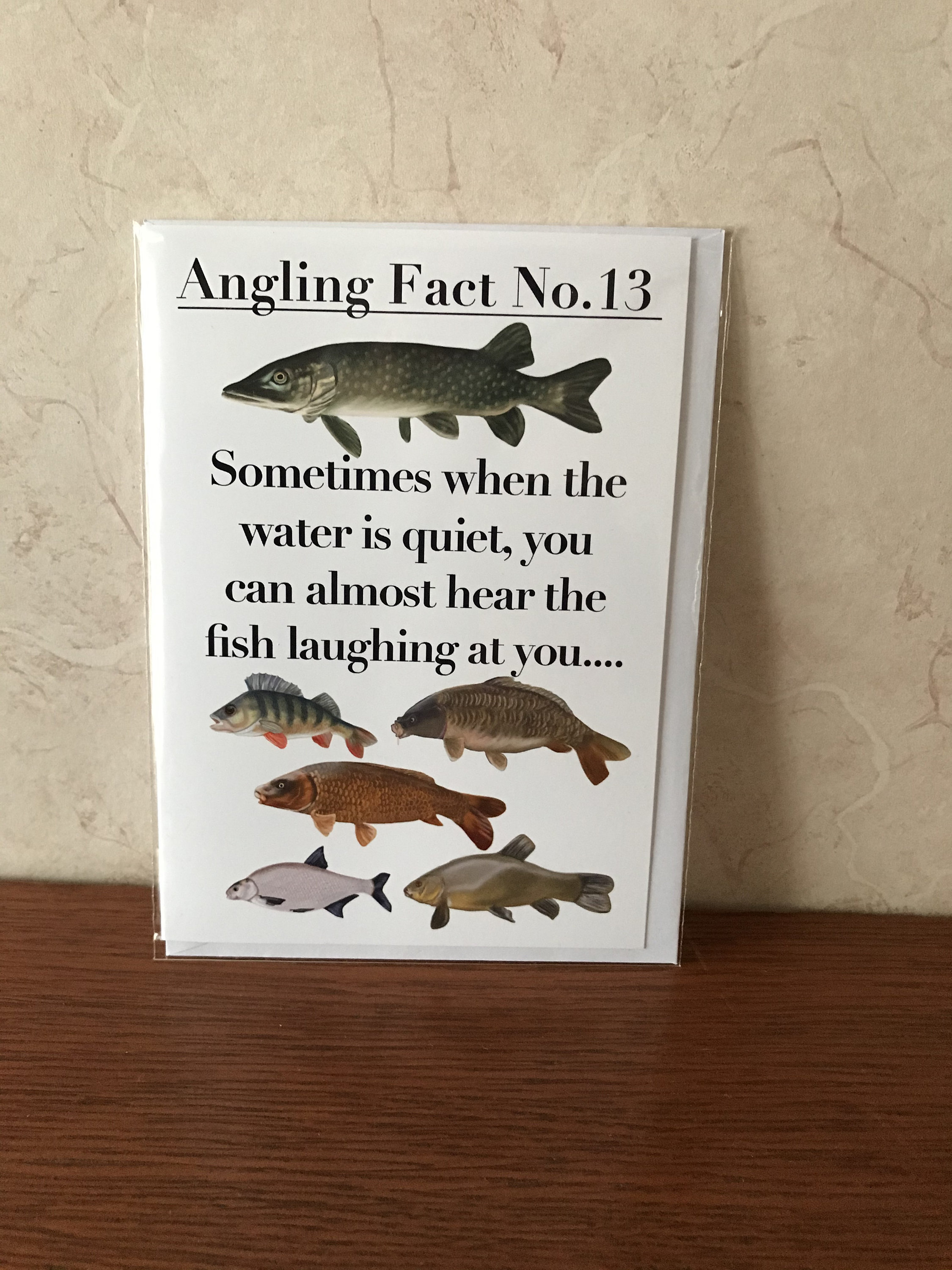 Fun Funny Fishing Birthday Card for the Fisherman or Angler You Can Hear  the Fish Laughing at You. Hand Drawn Fish FREE POSTAGE -  Canada