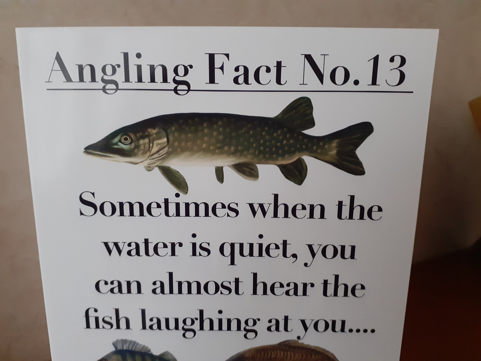 Fun Funny Fishing Birthday Card for the Fisherman or Angler - Etsy
