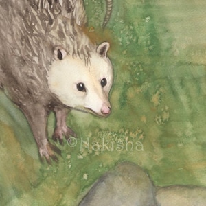 Arte original - El Ermitaño - Pintura de zarigüeya de acuarela pintada a mano- Arte para el Tarot del bosque de tejones, arte original firmado creado para tarjeta