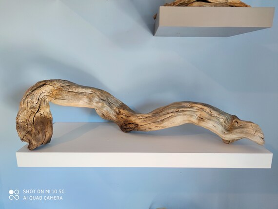 Long Driftwood Branch For Tabletop Decoration Natural Wavy Long Driftwood Branch For Tabletop, Long Tabletop Decor