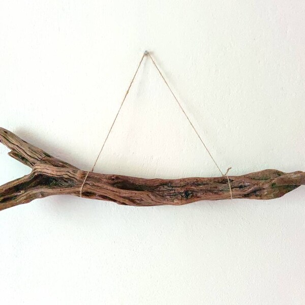 Extra Large Driftwood Etsy