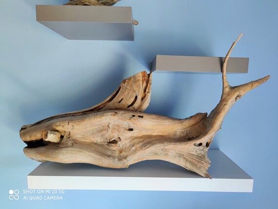 STUNNING Large Natural Driftwood With Holes for Tabletop Decoration/ Unique  Driftwood From Greece/ Natural Gray and Beige Driftwood 