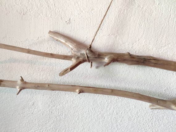 Branchy Beige Driftwood With a Beautiful Shape for Wall Decoration/ Naturally  Shaped Driftwood From Greece/ Long Driftwood Branch Wall Decor 