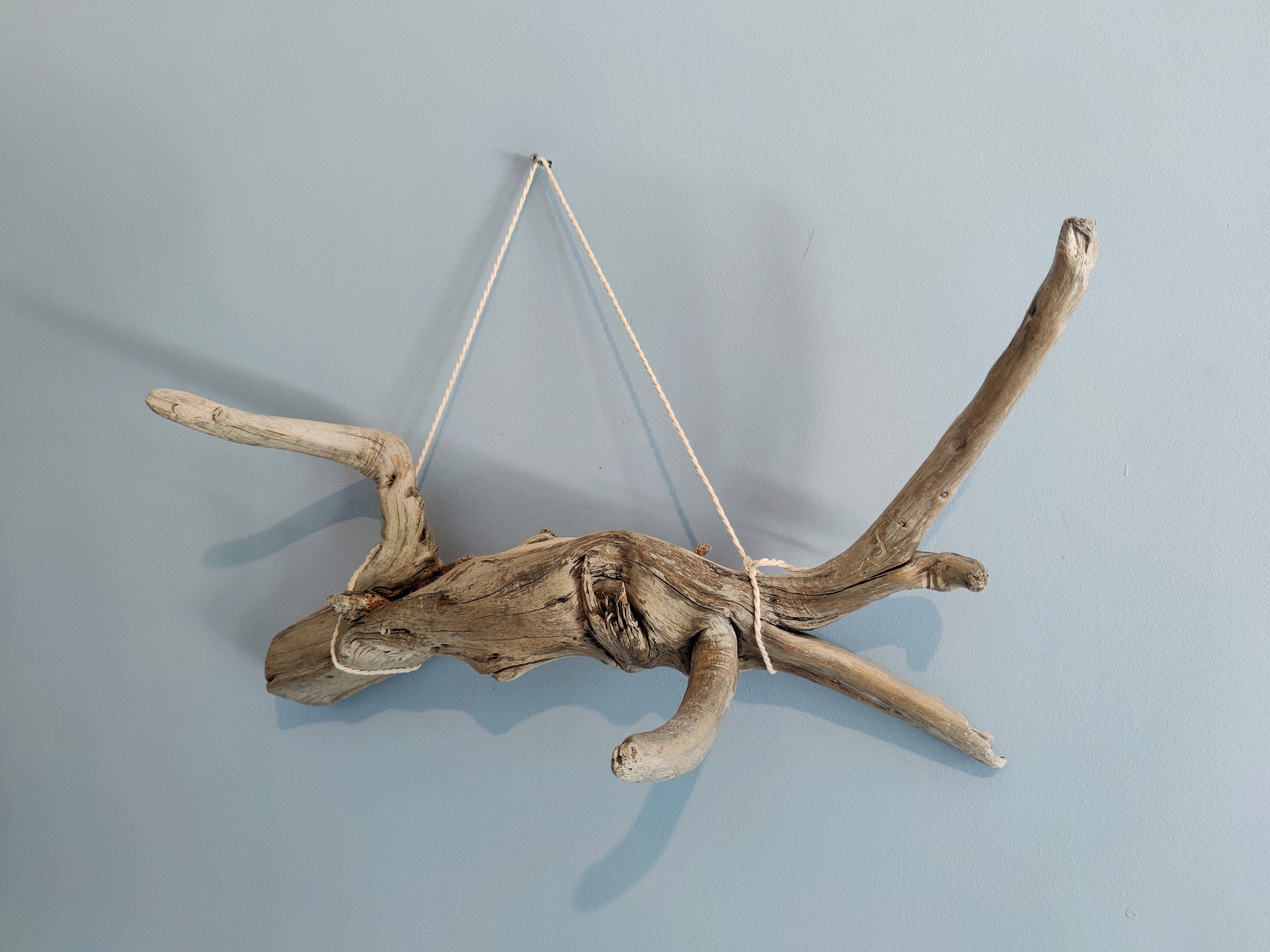 Large Driftwood Branch as Tabletop or Wall Hanging Decor/ Etsy