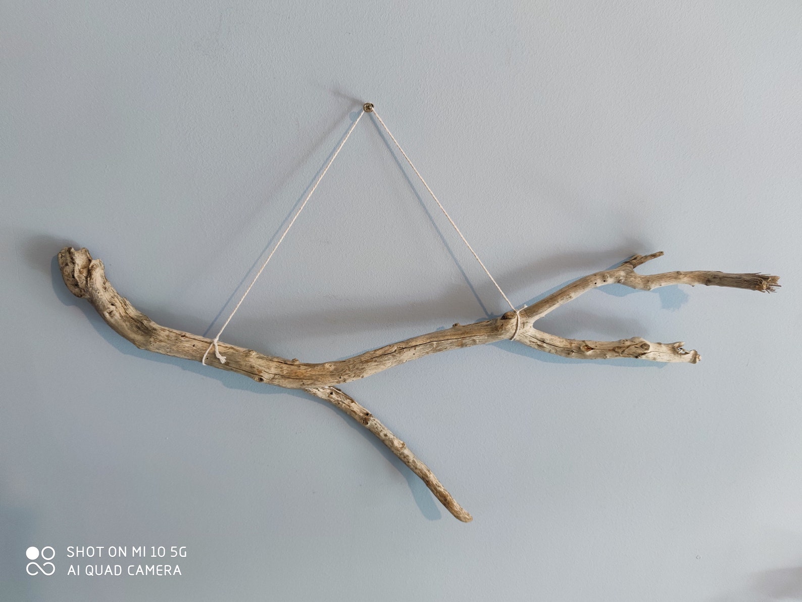 White Driftwood Branch for Wall/ Hanging Natural Driftwood for Etsy