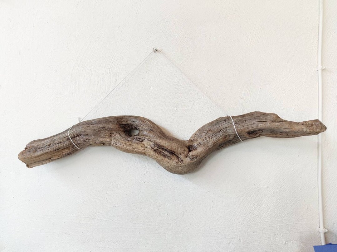 Buy Thick & Strong Natural Driftwood Branch With Big Hole for Wall Decor/ Rustic  Wall Driftwood Branch Online in India 