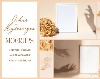 Paquete de maquetas de marcos / Mock Up Minimalista / Hortensia ocre / Marco digital, Conjunto de maquetas de marcos, paleta de colores Crema Rosa