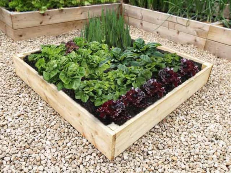 Cama de cultivo cuadrada elevada de madera para huerto, jardinera de madera tratada de 2 pies, 3 pies y 4 pies.