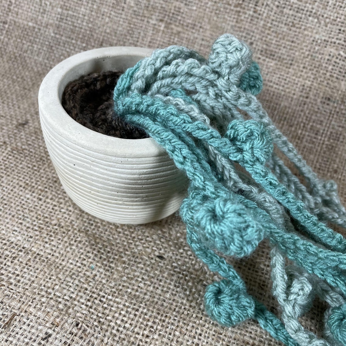 Crochet 'String of Pearls' Handmade pot & plant Etsy Italia