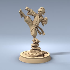 Elf Shaolin Monk - 28mm 32mm Resin Miniature - DnD - Dungeons & Dragons Miniatures - Pathfinder - Frostgrave - RPG - Tabletop - Wargaming
