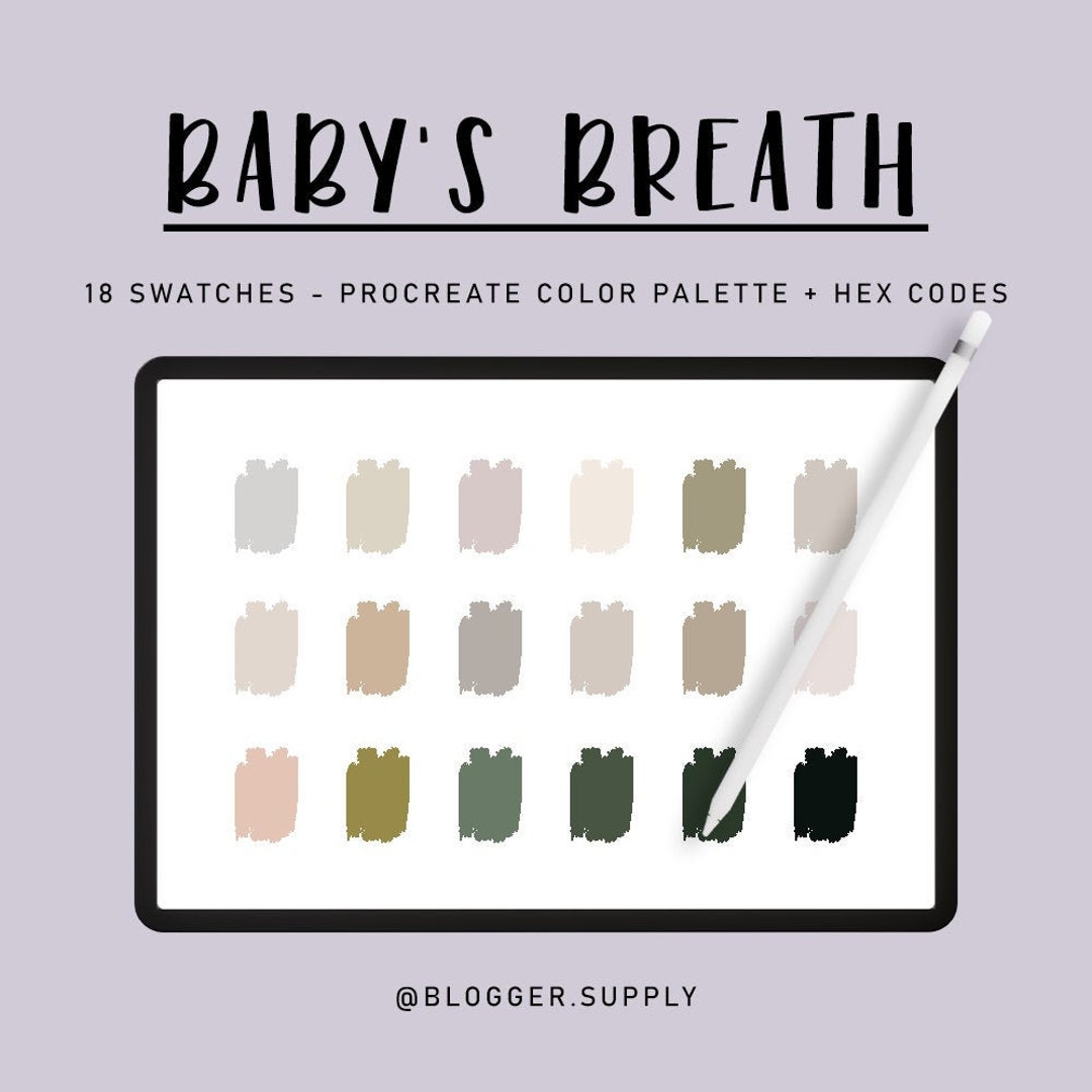 BABY'S BREATH PROCREATE Color Palette + Hex Color Codes - Gray, Brown ...