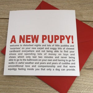 New Puppy Greetings Card