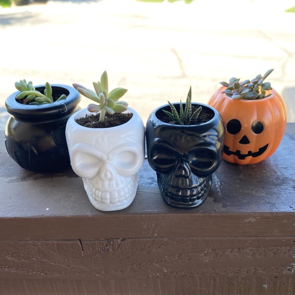 Halloween Planters - Etsy