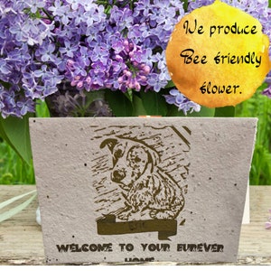 Seeded Animal Svg, personalizza la tua carta con l'immagine di un animale domestico con una carta seminata, carta piantabile, riutilizzabile, coltiva fiori amichevoli per le ape,.