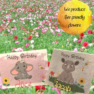 Tarjetas de cumpleaños para niños sembrados, aptas para abejas, Amapola, dulce Alyssum, Baby's Breath, Basil, Actividades infantiles, pasatiempos, jardinería, diversión