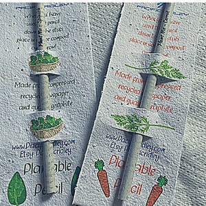 Matita seminata, piantabile, carota, semi di spinaci, giornale compattato riciclato, carta seminata, grafite di qualità, regalo per gli insegnanti