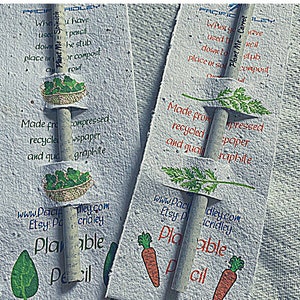 Seeded pencil, plantable, carrot, spinach seeds, recycled compacted newspaper, seeded card , quality graphite, Teachers gift