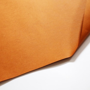 SALPA - Selbstklebendes Lederband - Klebelederbrett 0,5 mm - Verstärkungsleder - Größe 50 cm x 150 cm- M6