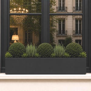 May include: A dark grey rectangular planter box filled with green, spherical shrubs and smaller plants. The planter sits on a white ledge in front of a black window, reflecting a chandelier and building exterior.
