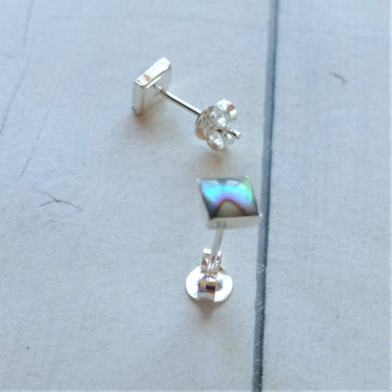 Orecchini Pendenti In Argento Placcato Con Conchiglia Abalone E Ametista Naturale, RE174