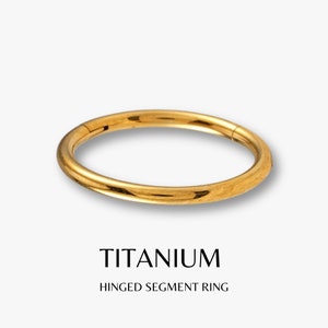 Anillos de segmento con bisagras de oro y titanio de grado de implante, aretes de cartílago sin costuras con clic para tabique nasal, anillo de hélice, caracola de hélice hipoalergénico
