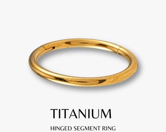 Implant Grade Titanium Gold Hinged Hoop Segment Rings Clicker Septum Seamless Cartilage Earrings Helix Nose Ring Hypoallergenic Helix Conch