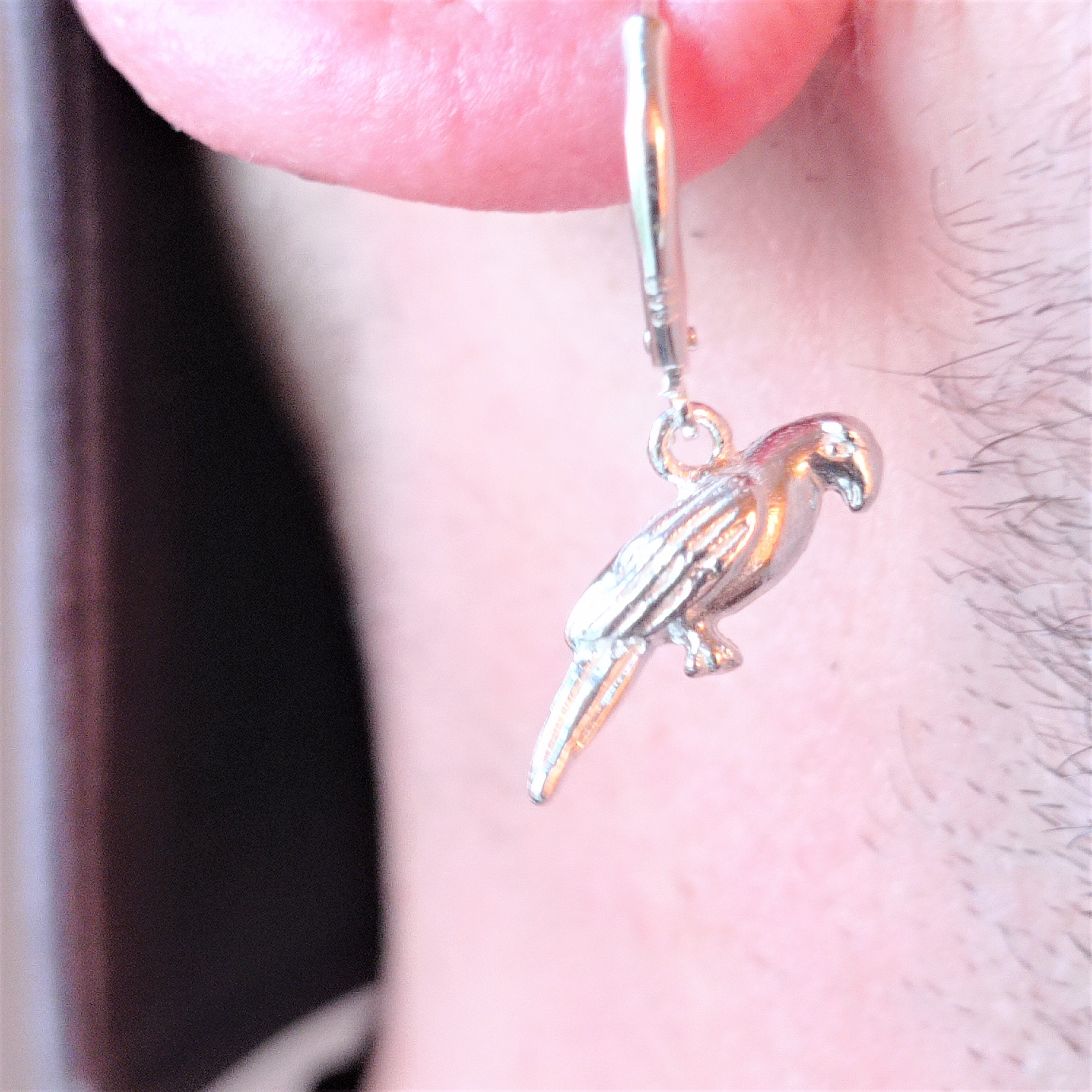 YFN Orecchini pappagallo in argento Sterling goccia pappagallo
