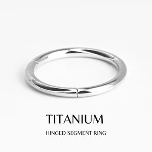 1 UNIDAD 20G 18G 16G 14G Aros de titanio Anillo de nariz con bisagra Anillo de tabique con cierre de clic Aros para hombre Sleeper Huggie 1 UNIDAD