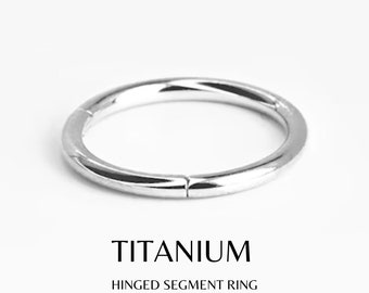 1 UNIT 20G 18G 16G 14G  Titanium Hoop Earrings Hinged Nose Ring Septum Clicker Ring Mens Hoop Sleeper Huggie Earrings 1 UNIT
