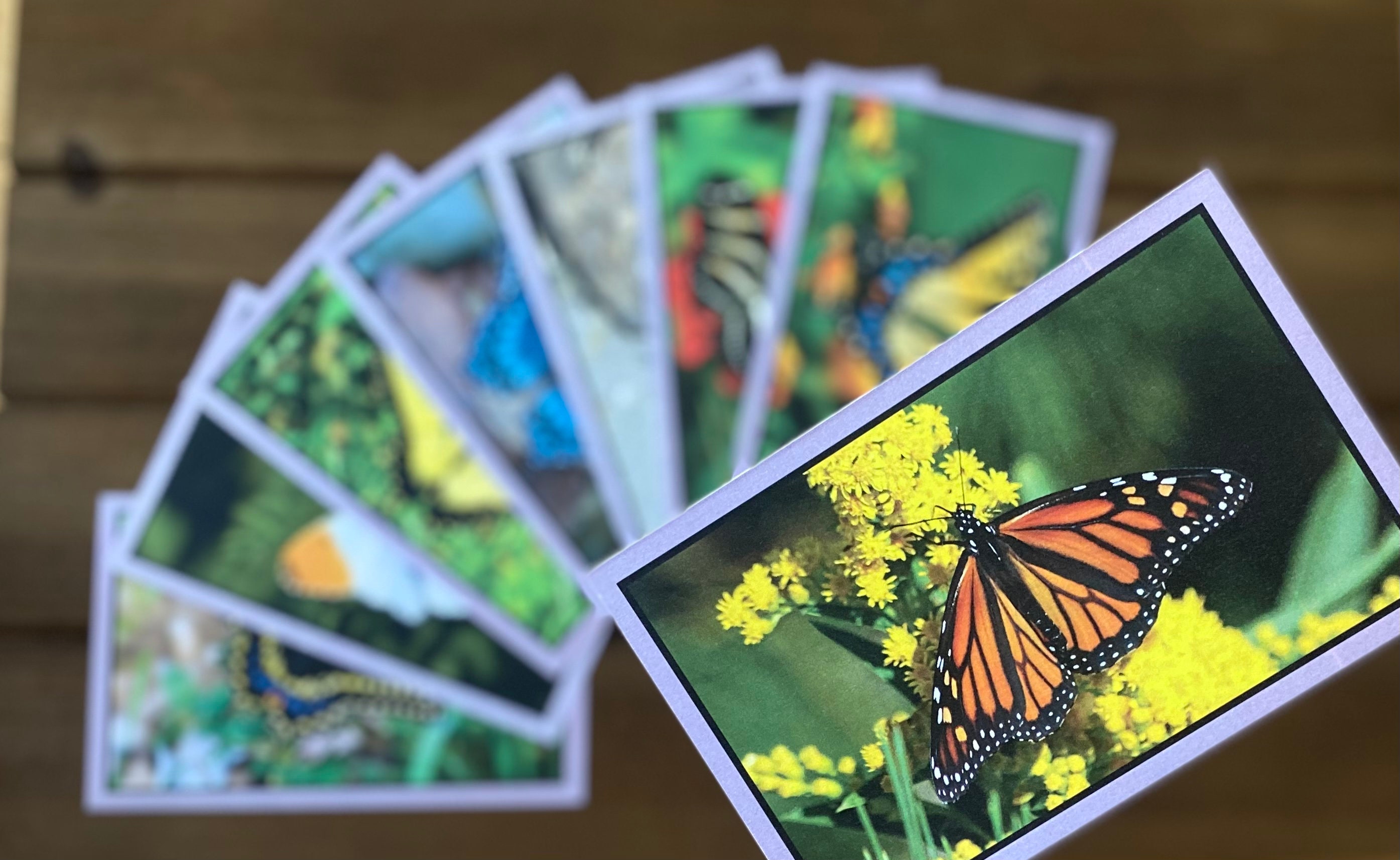 PDF Montessori Language Cards Butterflies Printable Etsy