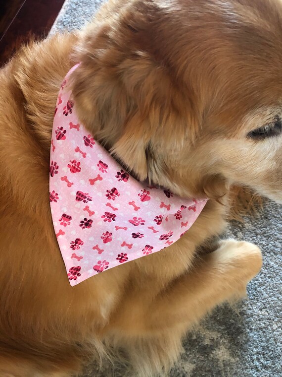pink dog scarf