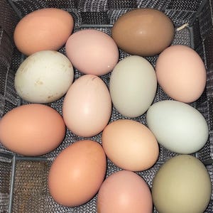 May include: A basket filled with a variety of fresh eggs. The eggs vary in color, including shades of brown, pink, and green. The basket is made of a woven gray material, providing a rustic and natural aesthetic.