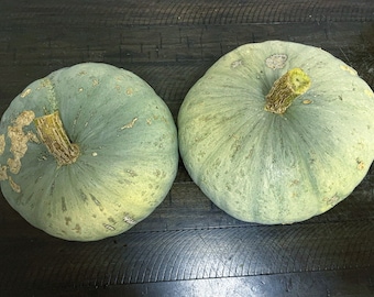 Sweet Meat Squash Seeds