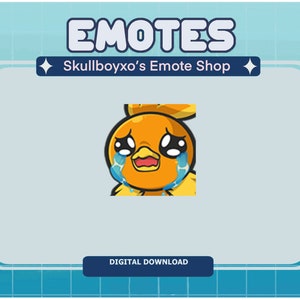 Torchic Crying Emote for Twitch and Discord
