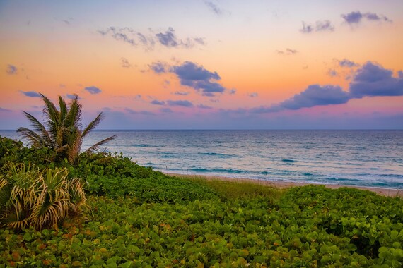 英語版　Tropical  New 2024 Kawasaki Ninja ZX-10R 40th Anniversary Edition ABS Lime