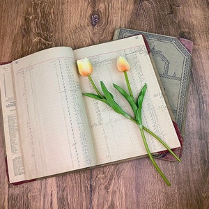 May include: Two open vintage ledgers with handwritten numbers and a pair of orange tulips with green stems on top.
