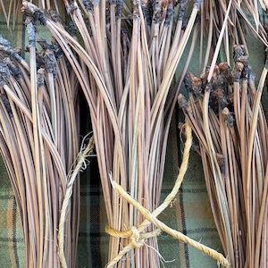 Puede incluir: Paquetes de agujas de pino secas de color marrón atadas con cuerda. Las agujas están dispuestas en forma de abanico y están listas para usar en manualidades o arreglos florales.