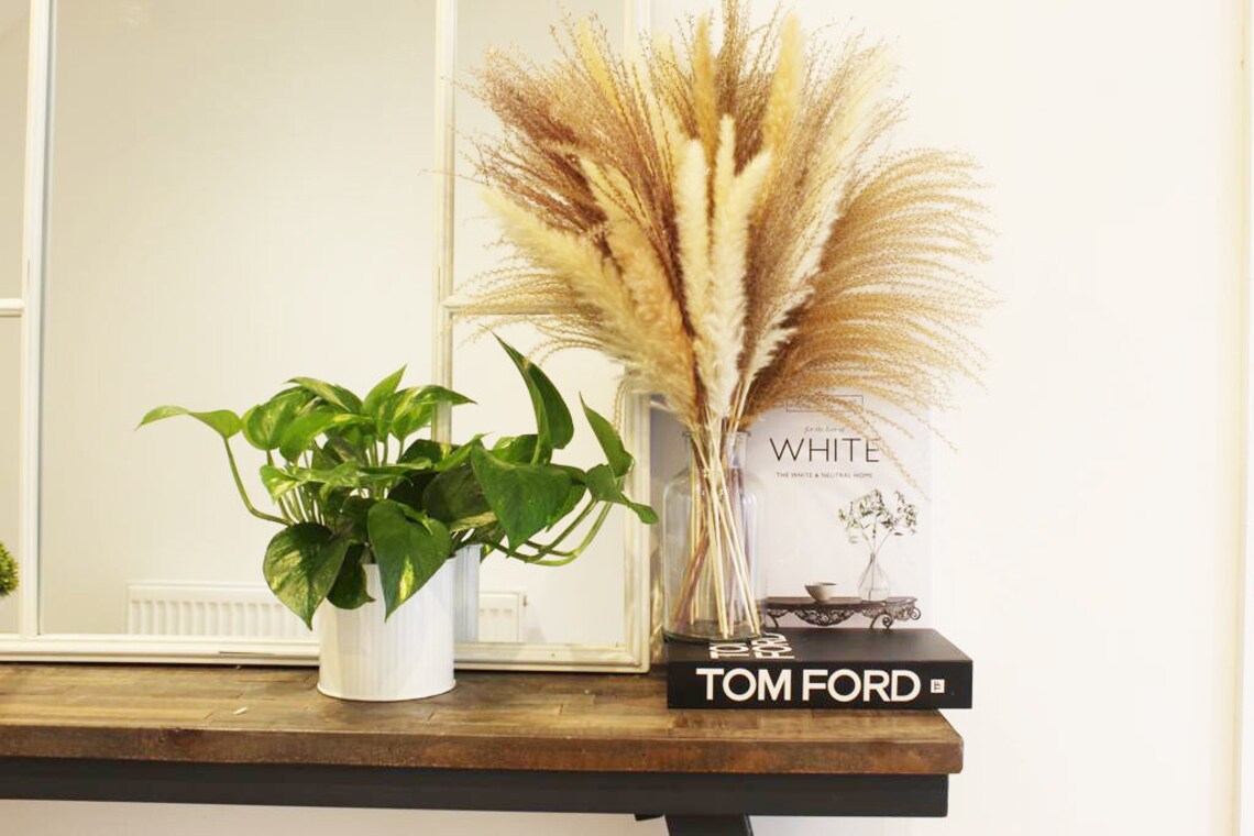 PAMPAS Dried Grass & Clear VASE 50pcs Natural Flowers Bunch Etsy