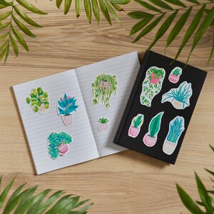 Set di adesivi colorati per piante d'appartamento, inclusi 11 adesivi diversi: Monstera Pilea, Pianta ragno, Filodendro