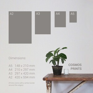 May include: Four different sizes of gray paper prints labeled A2, A3, A4, and A5. The dimensions of each print are listed below the prints. The text "COSMOS PRINTS" is in the bottom right corner of the image.
