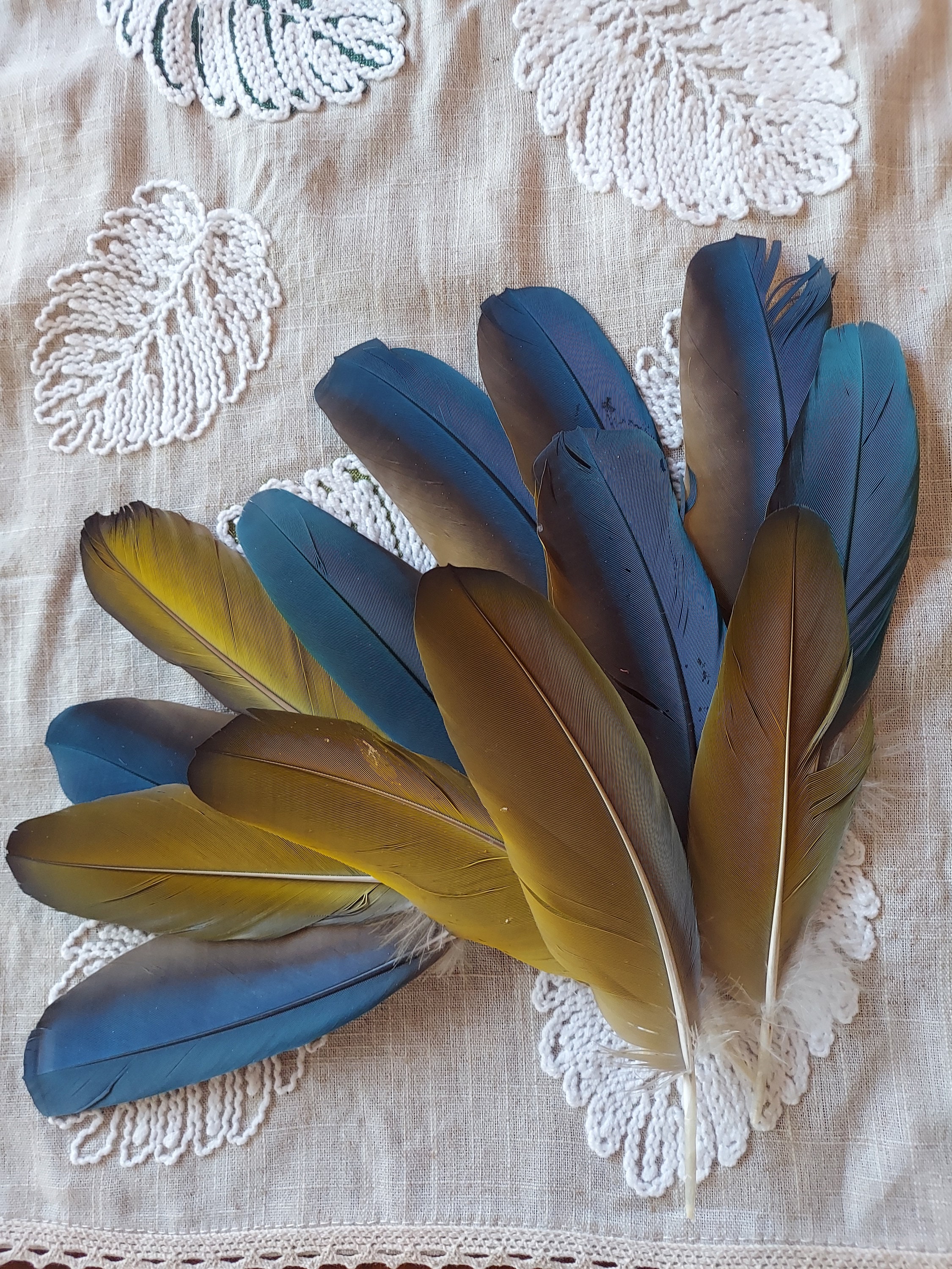 Long Feather Decor - Etsy