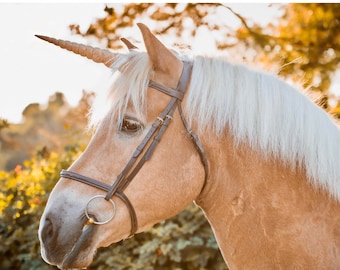 Strukturiertes Einhorn Horn für Pferde und Ponys / Realistisches Einhorn Stirnband / Verstellbare, einfach zu befestigende Riemen