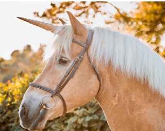 Realistic Textured Unicorn Horn for Horses & Ponies with Adjustable Straps