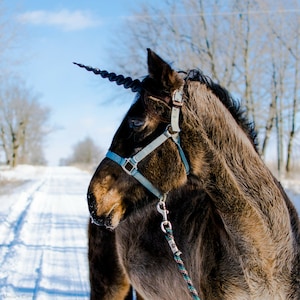 Unicorn Horn for Horses, Ponies, Minis / Easy Adjustable Straps Included / Perfect for Unicorn Photoshoots image 4