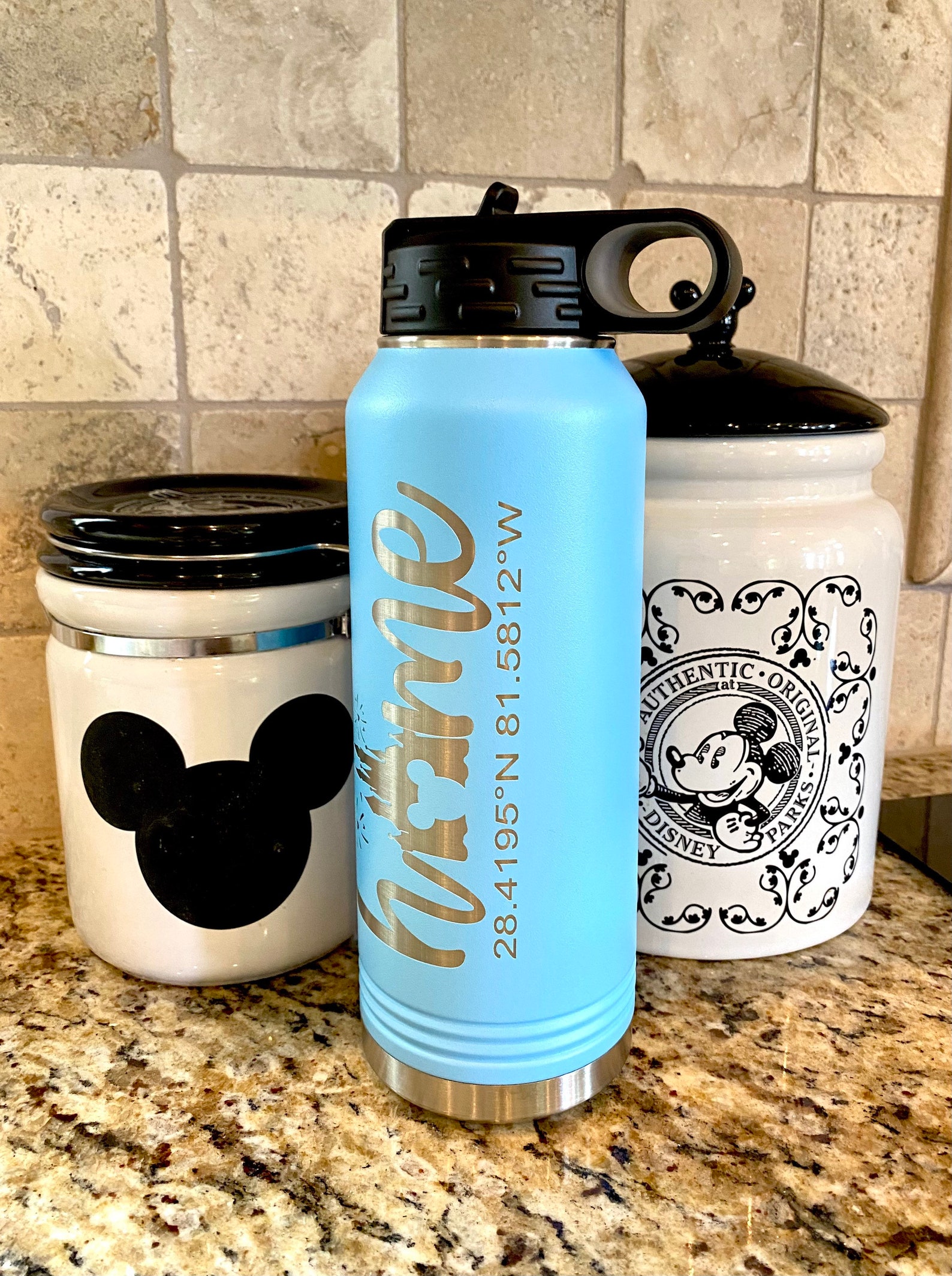 32oz Disney Castle Water Bottle With Home Park Coordinates Etsy