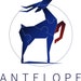 Antelope Puzzle