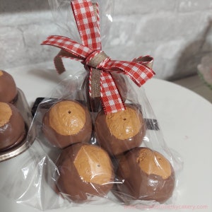May include: A clear plastic bag filled with six chocolate covered buckeyes tied with a red and white checkered ribbon. The buckeyes are arranged in a pyramid shape.